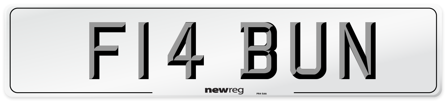 F14 BUN Number Plate from New Reg